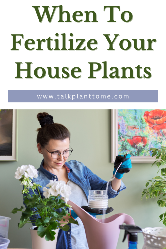When To Fertilize Your House Plants