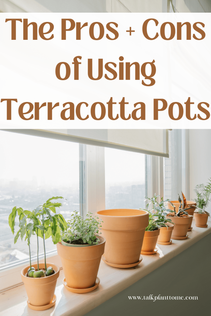 The Pros and Cons of Using Terracotta Pots