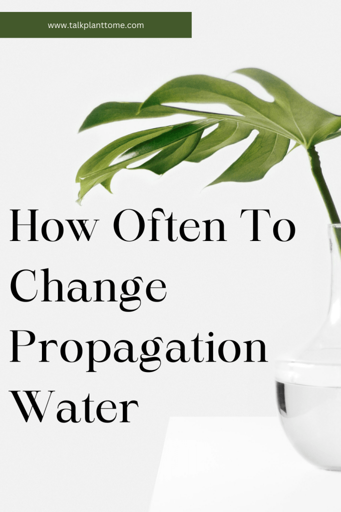 How Often To Change Propagation Water