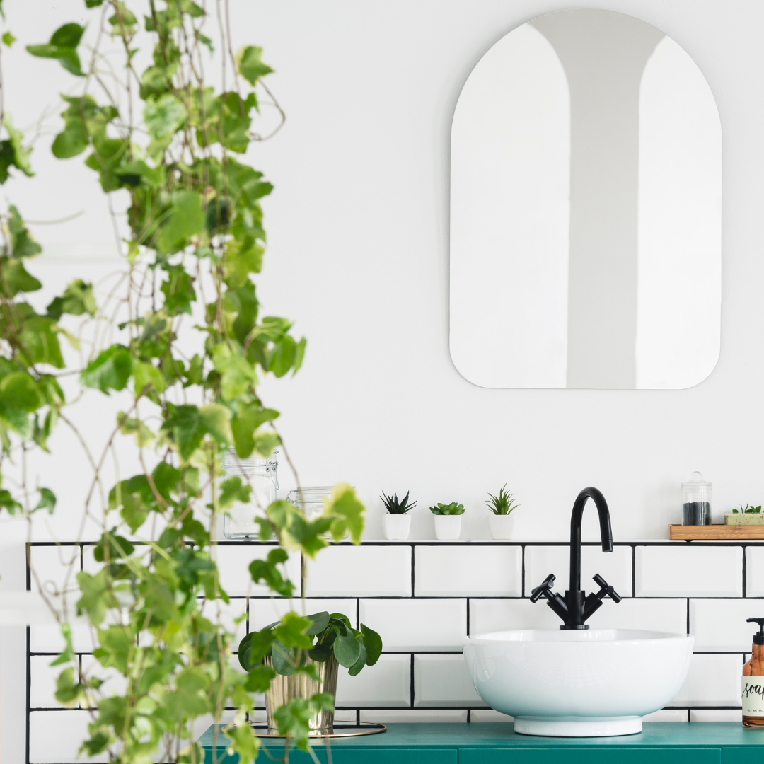 14 House Plants That Love Bathroom Humidity – | Talk Plant To Me