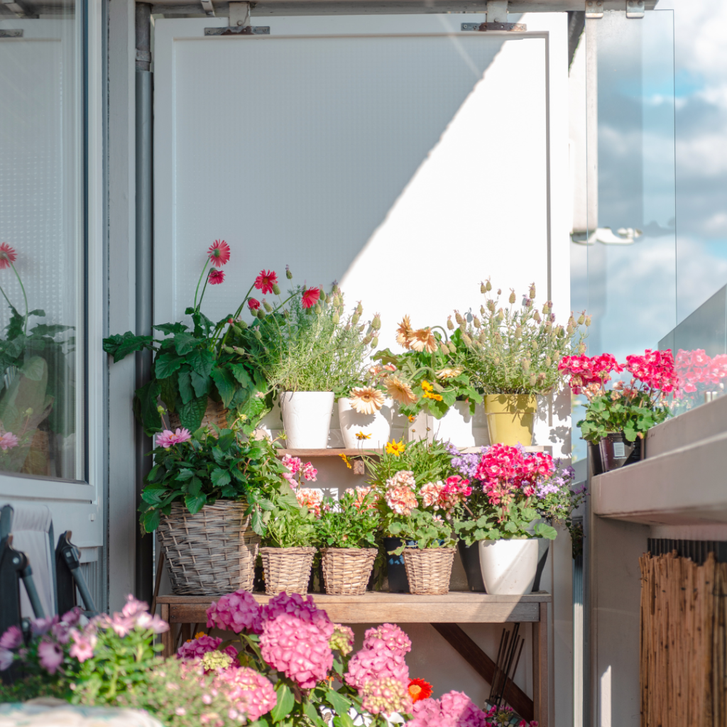 How To Get Your House Plants Ready For Spring