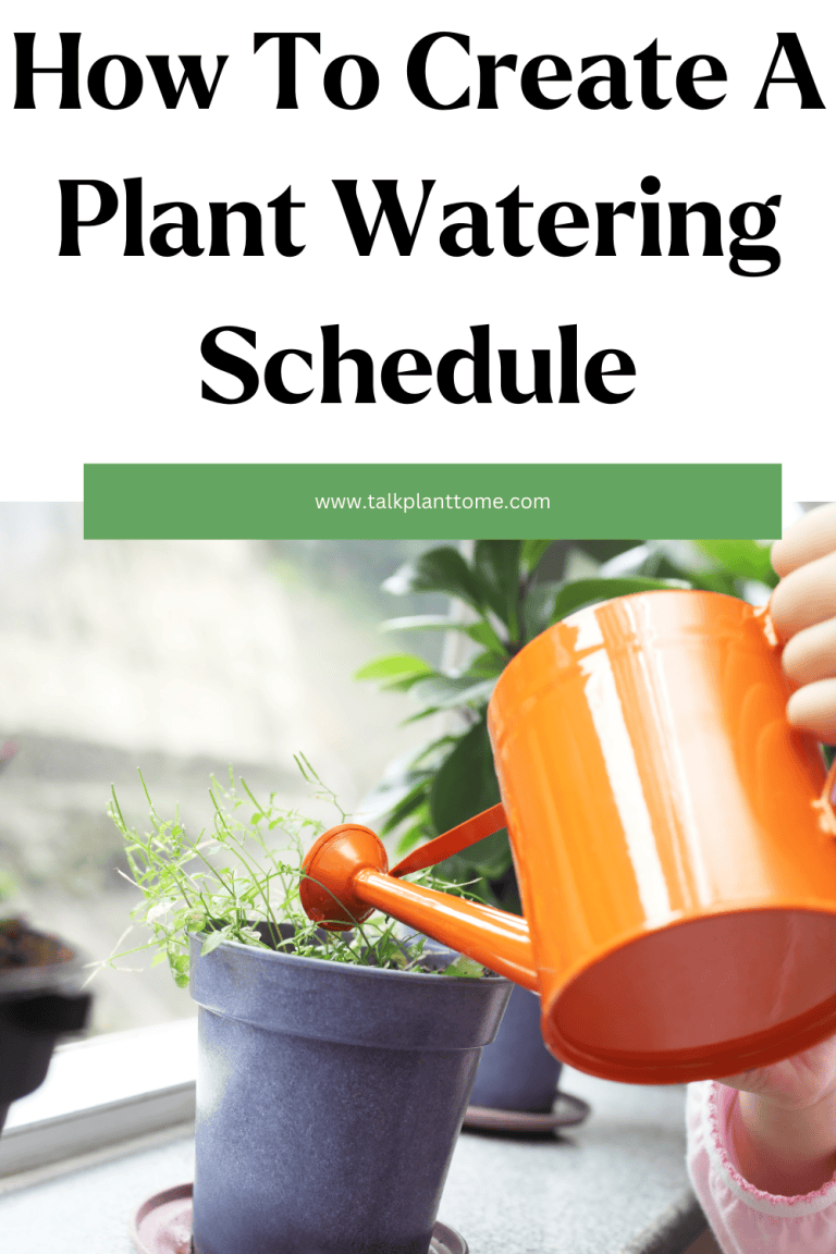How To Create A Plant Watering Schedule – | Talk Plant To Me