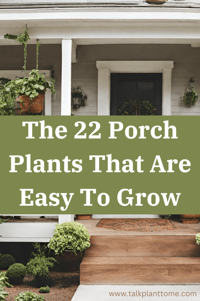 The 22 Porch Plants That Are Easy To Grow
