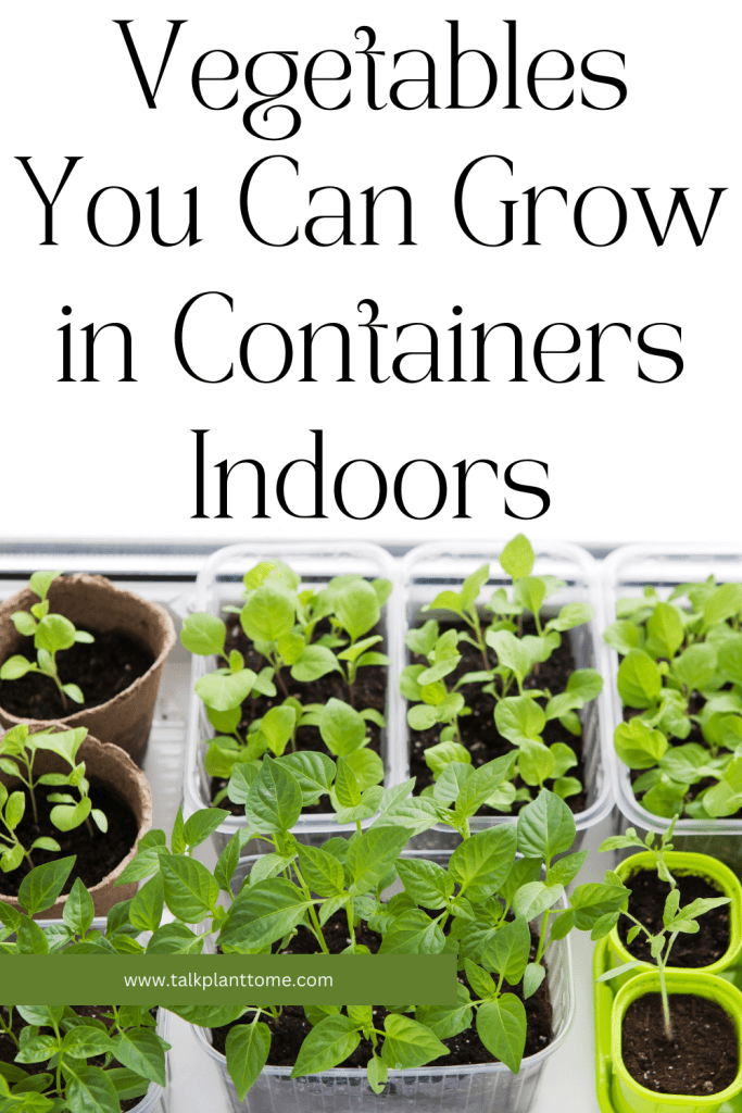 Vegetables You Can Grow in Containers Indoors