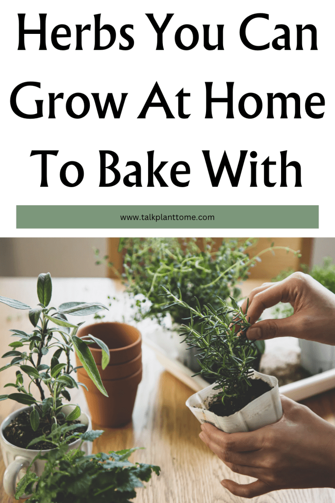 Herbs You Can Grow At Home To Bake With
