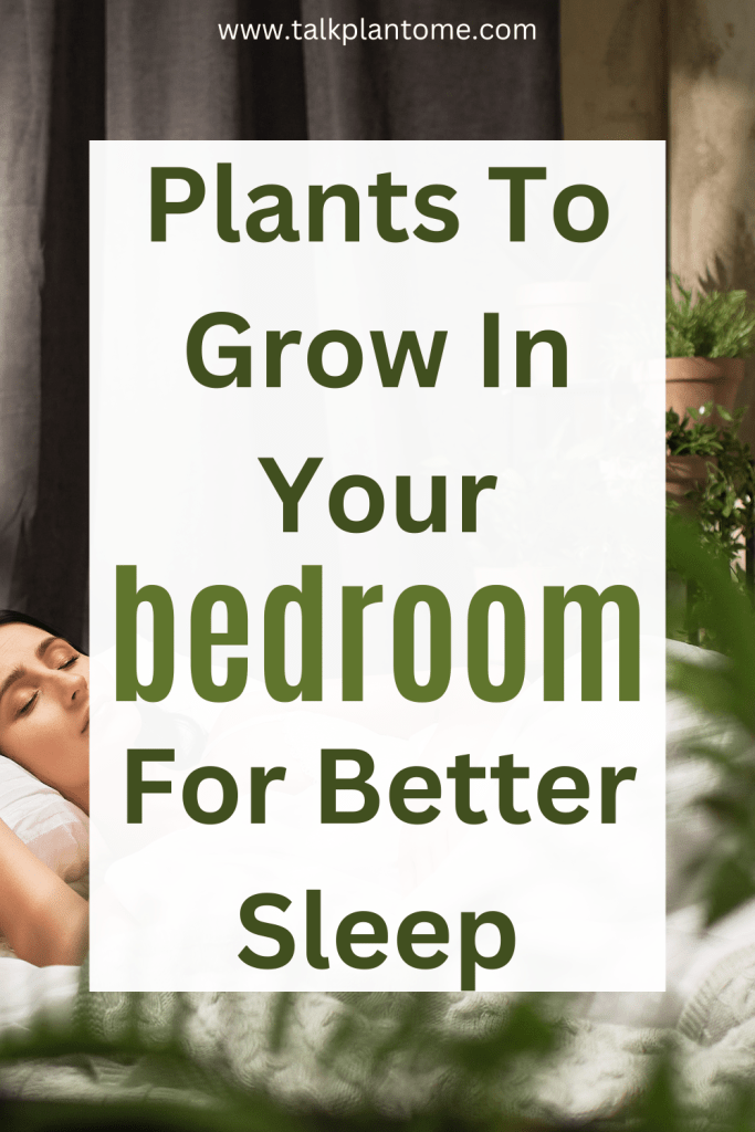 Plants To Grow In Your Bedroom For Better Sleep