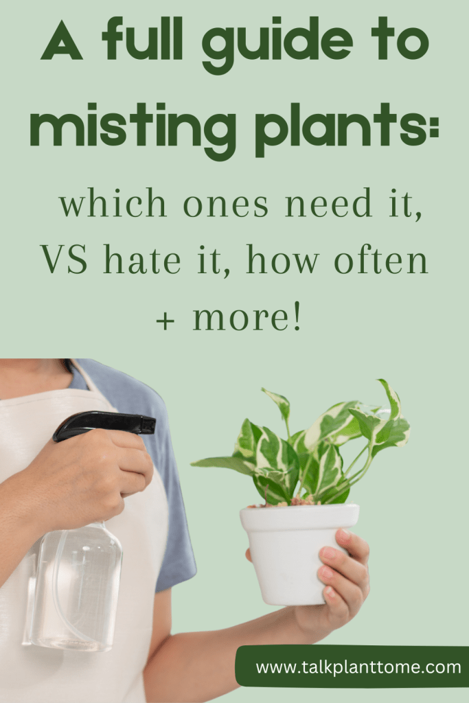 a full guide to misting plants: which ones need it, which hate it, how often and more! 