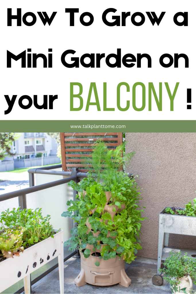 How To Grow a Mini Garden on your Balcony!
