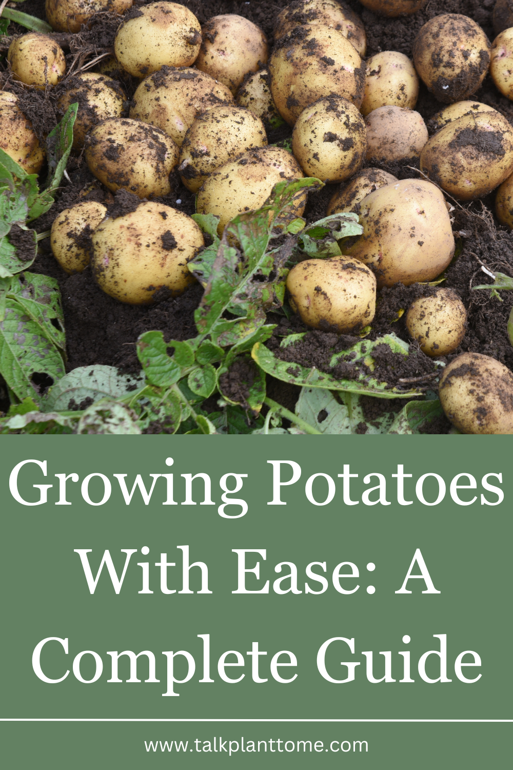 Potato Growing Guide.pdf Growing Potatoes With Ease: A Complete Guide – | Talk Plant To Me