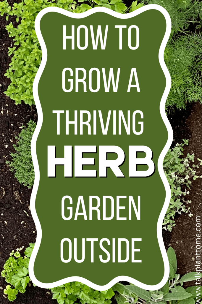 How To Grow a Thriving Herb Garden Outside